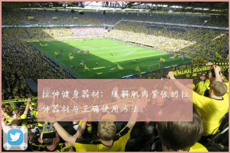 拉伸健身器材:缓解肌肉紧张的拉伸器材与正确使用方法