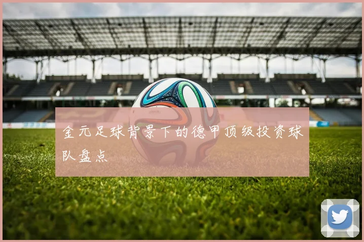 金元足球背景下的德甲顶级投资球队盘点