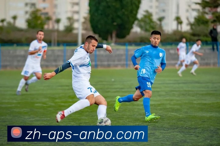 足球运动反乌托模式是否揭示职业足球商业化过程中的核心矛盾